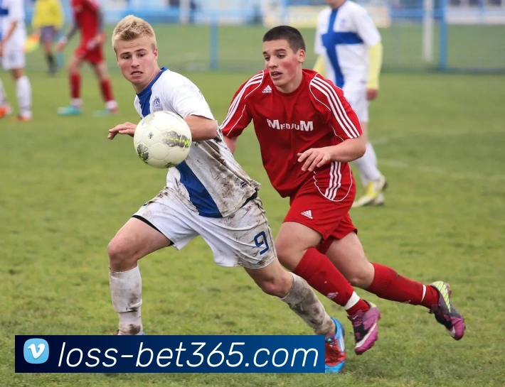 App Interface Preview